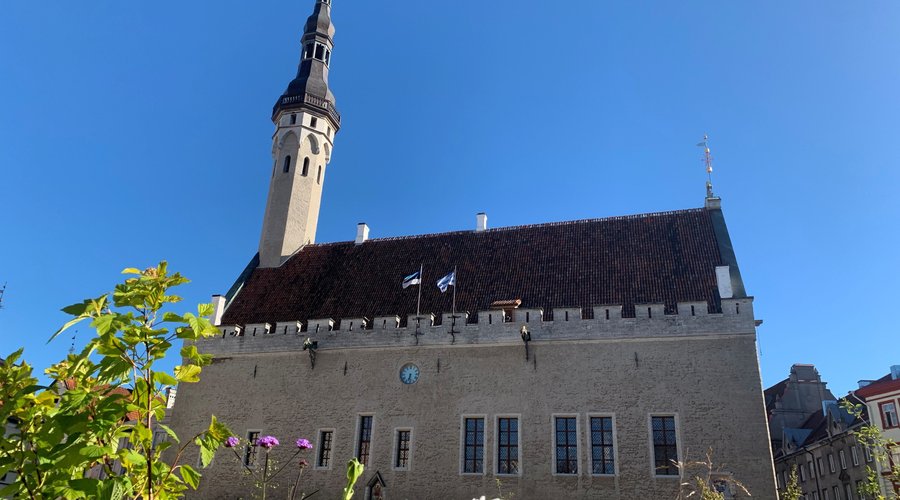 Tallinn Town Hall in summer