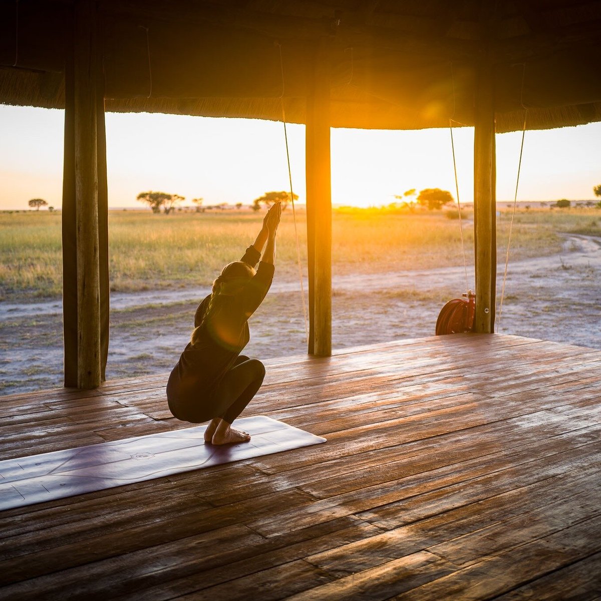 Munga Plains - Qué SABER antes de ir (ACTUALIZADO 2025) - Tripadvisor