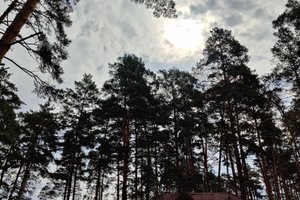 Seyahat Eden