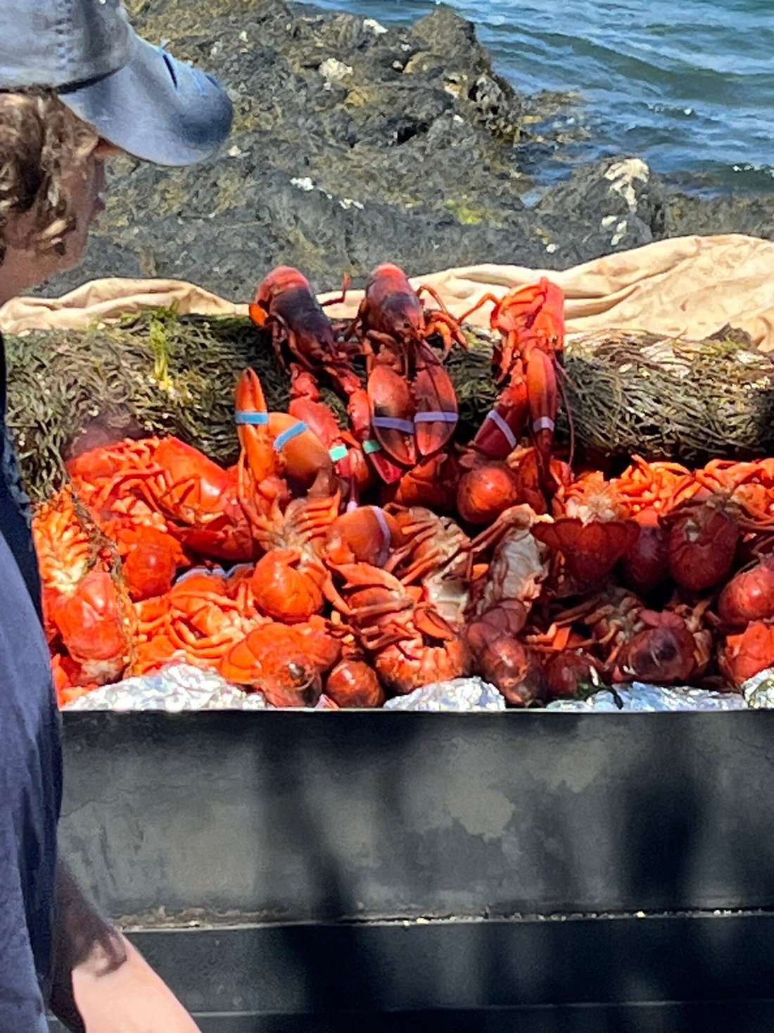 CABBAGE ISLAND CLAMBAKES, Boothbay Harbor Updated 2024 Restaurant