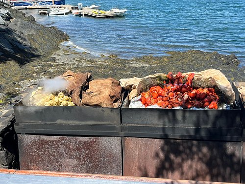 Summer T Shirts For Family Members Sea Flower Lobster Tank Top Summer T Shirts For Family Members Sea Flower Lobster Tank Top