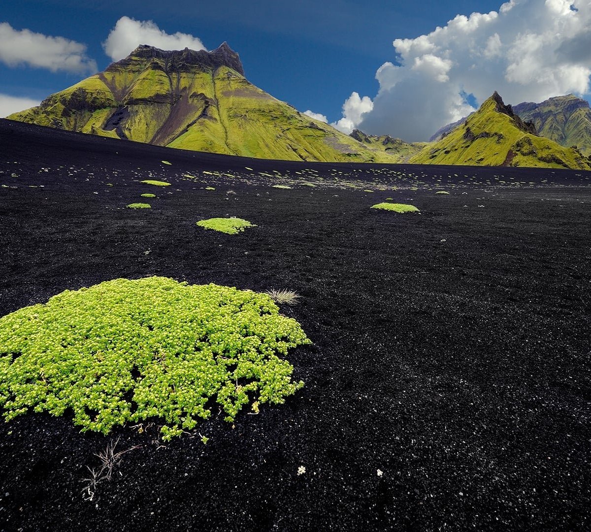 Viking Park Iceland (Vik) - Lohnt es sich? Aktuell für 2025 (Mit fotos)