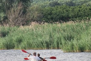Voyageur
