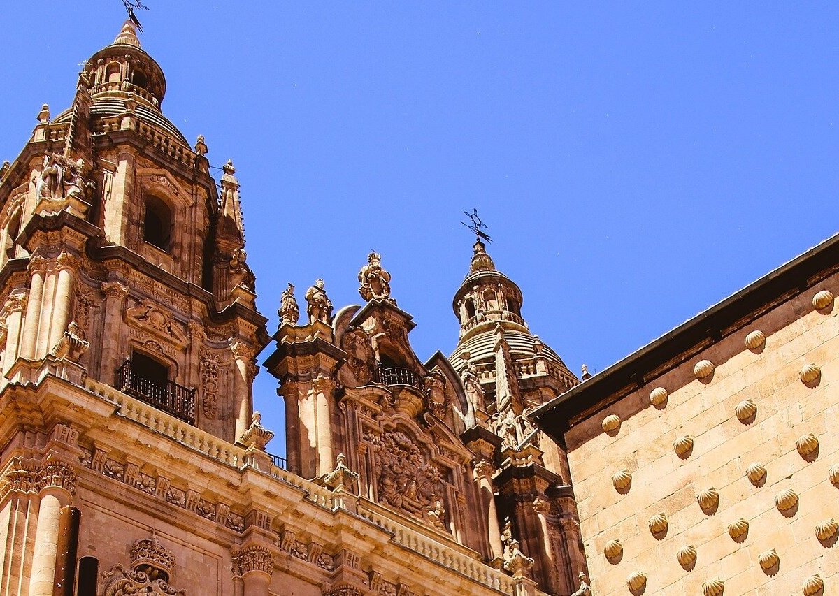 Blackbuck Travels (Salamanca) Lohnt es sich? Aktuell für 2025 (Mit fotos)