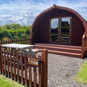 Glamping pod with enclosed garden