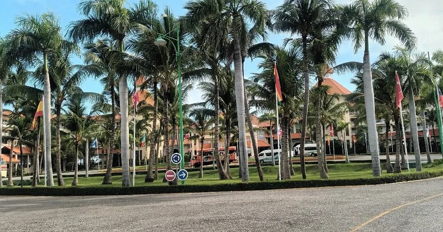 Punta Cana Airport Transfers (2025) - All You Need to Know BEFORE You Go  (with Reviews)