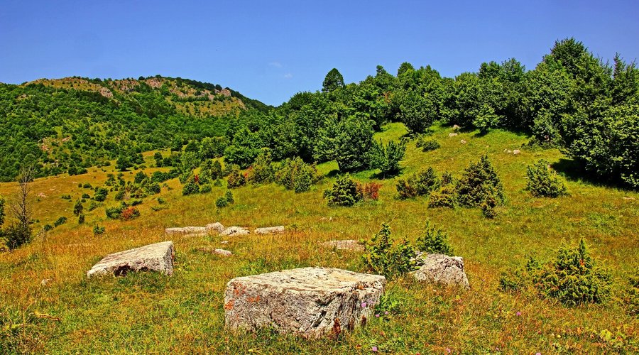 The necropolis