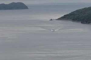 旅行者の写真