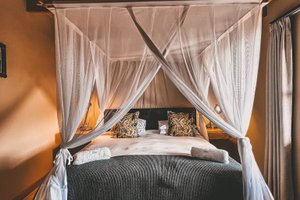 Room & Suite