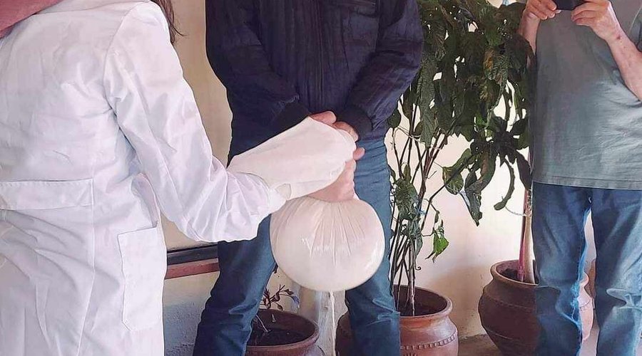 cheese making