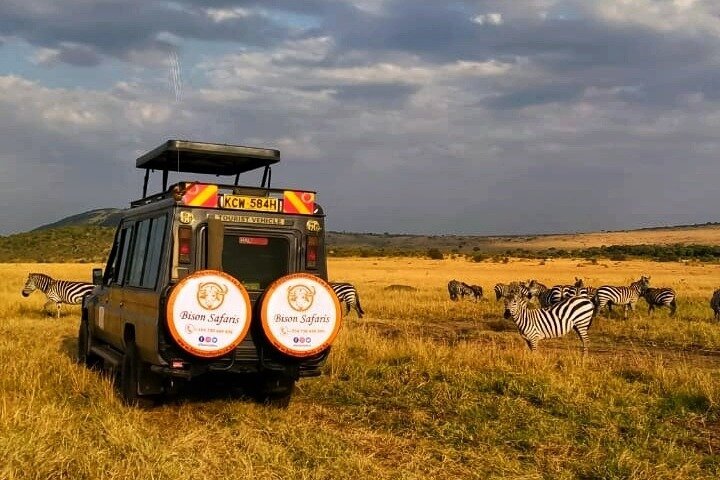 4 DAYS MAASAI MARA SAFARI – MIGRATION SPECIAL (2025) - All You MUST ...