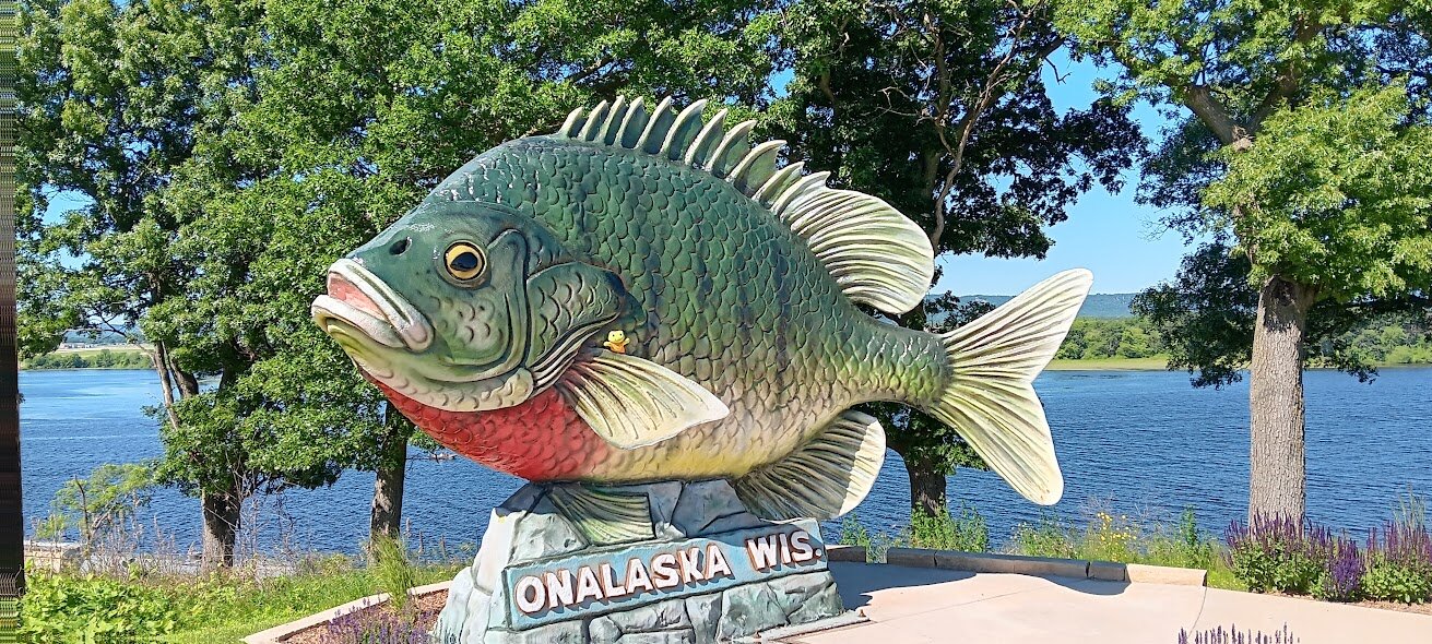 Sunny The Sunfish 2025 All You Need To Know BEFORE You Go With Caption