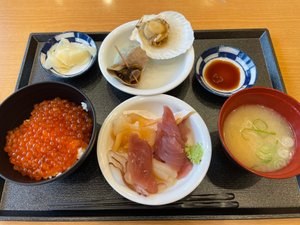 旅行者の写真