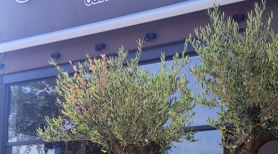 Υπέροχος χώρος με φαγητό εξαιρετικής ποιότητας.