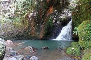 Wisatawan