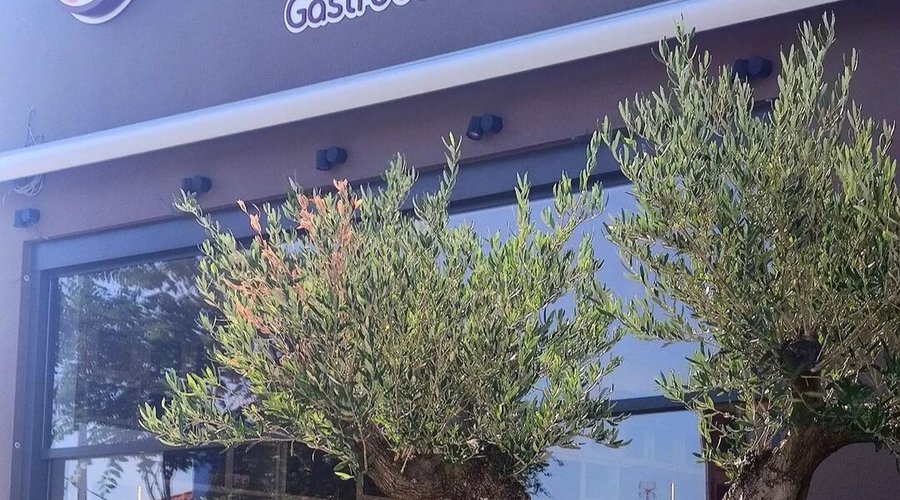 Εξαιρετικό μαγαζί για brunch, snack, καφέ και την καλύτερη Pizza.