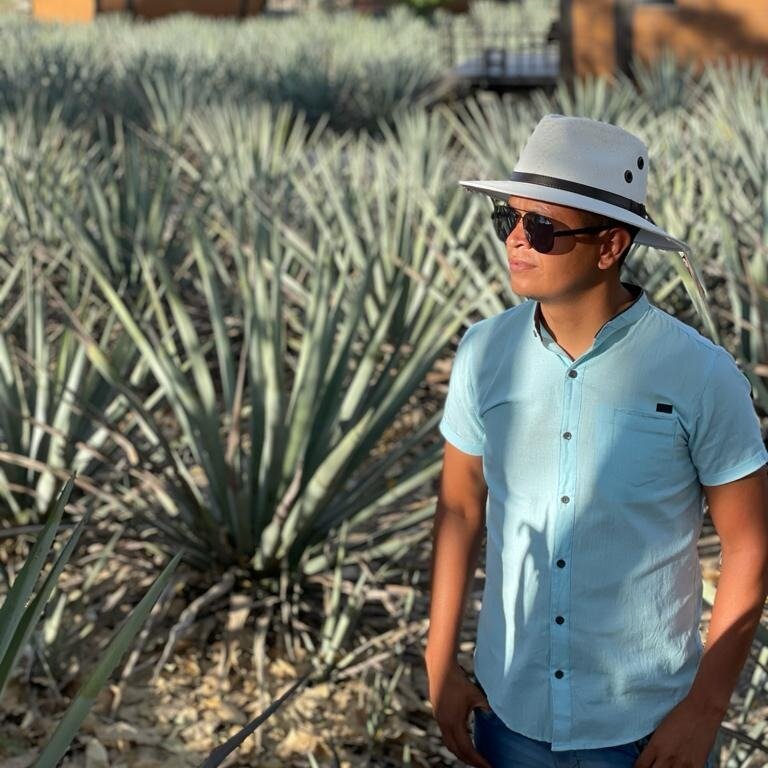 Tours Ortiz Tequila Qué Saber Antes De Ir 2024