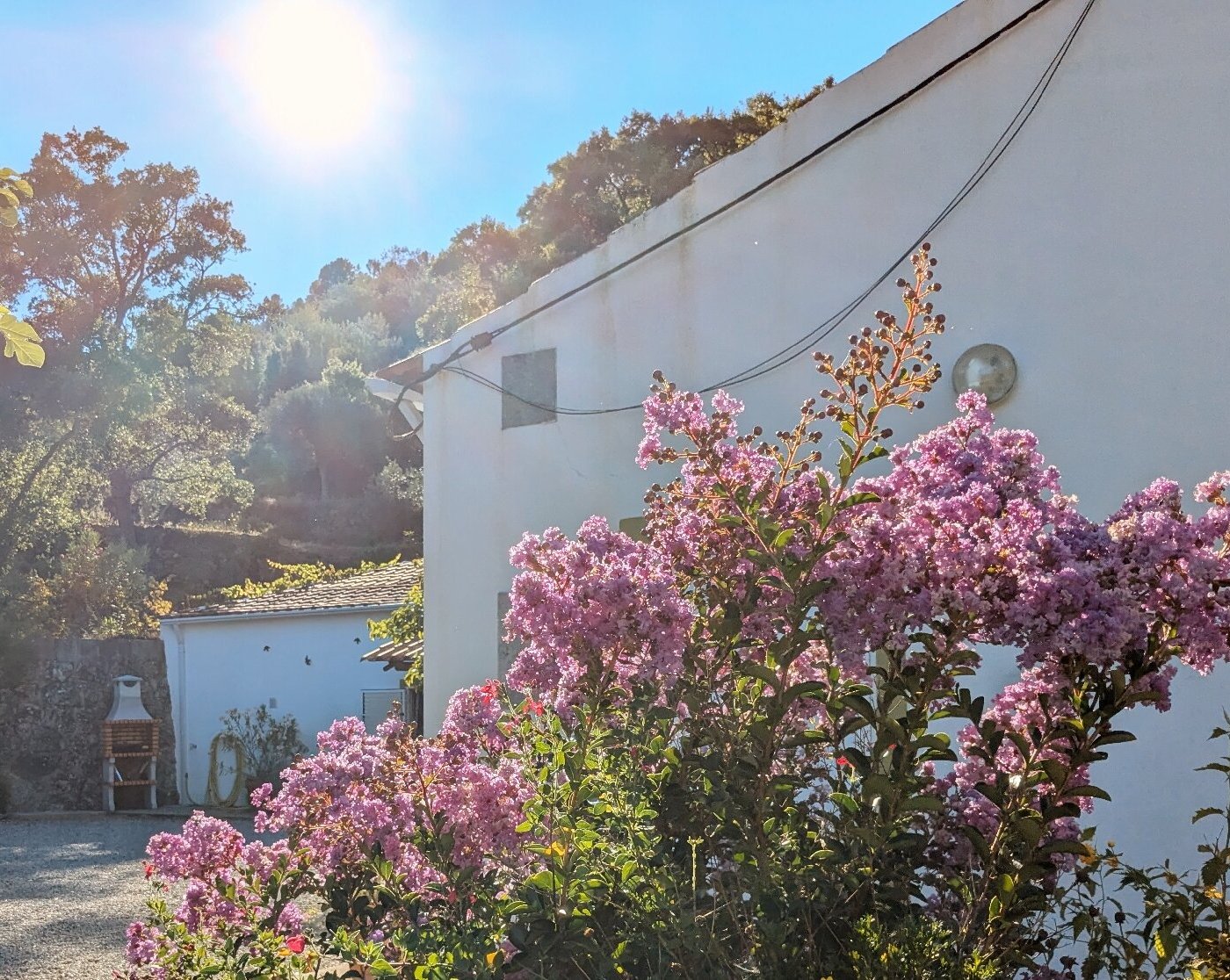 QUINTA DA BARROQUINHA - Prices & Lodging Reviews (Vale de Prazeres, Portugal) QUINTA DA BARROQUINHA - Prices &  Lodging Reviews... 