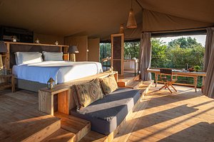 Exceptional camp in Naboisho  Review of Saruni Eagle View  