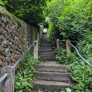 The 'Radical Steps' (phew!)