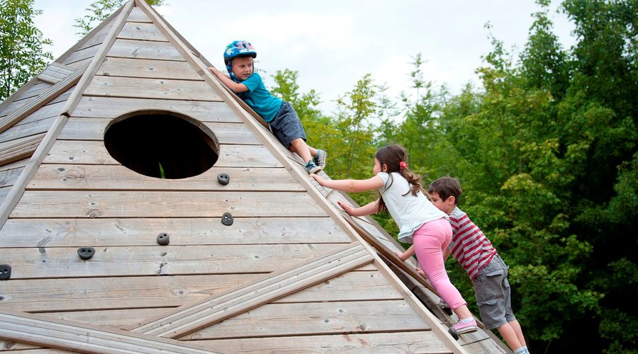 Come and visit the Bedgebury play trail and go on a plant hunter adventure.
