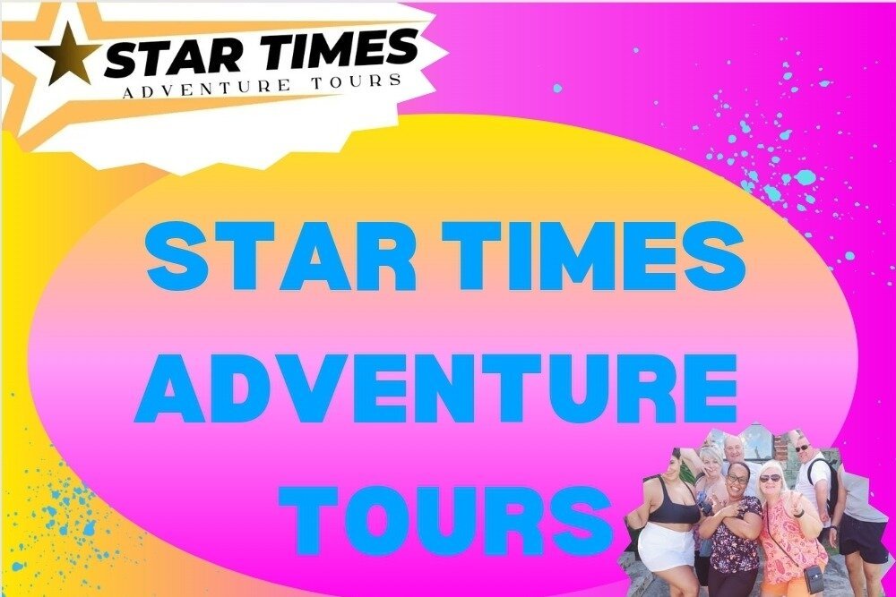 STAR TIMES ADVENTURE TOURS (St. John's): Ce qu'il faut savoir pour ...