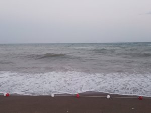 Seyahat Eden