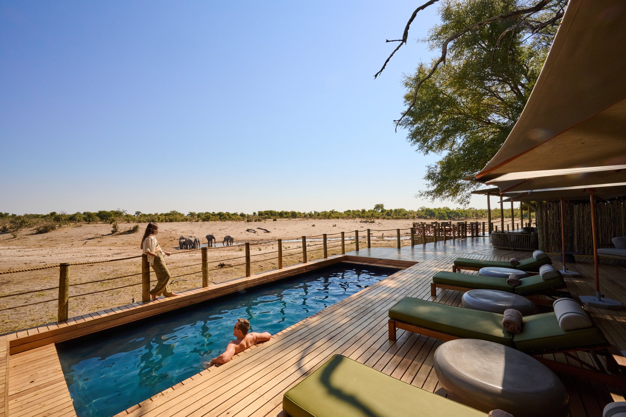 Savute Safari Lodge desert and delta by null