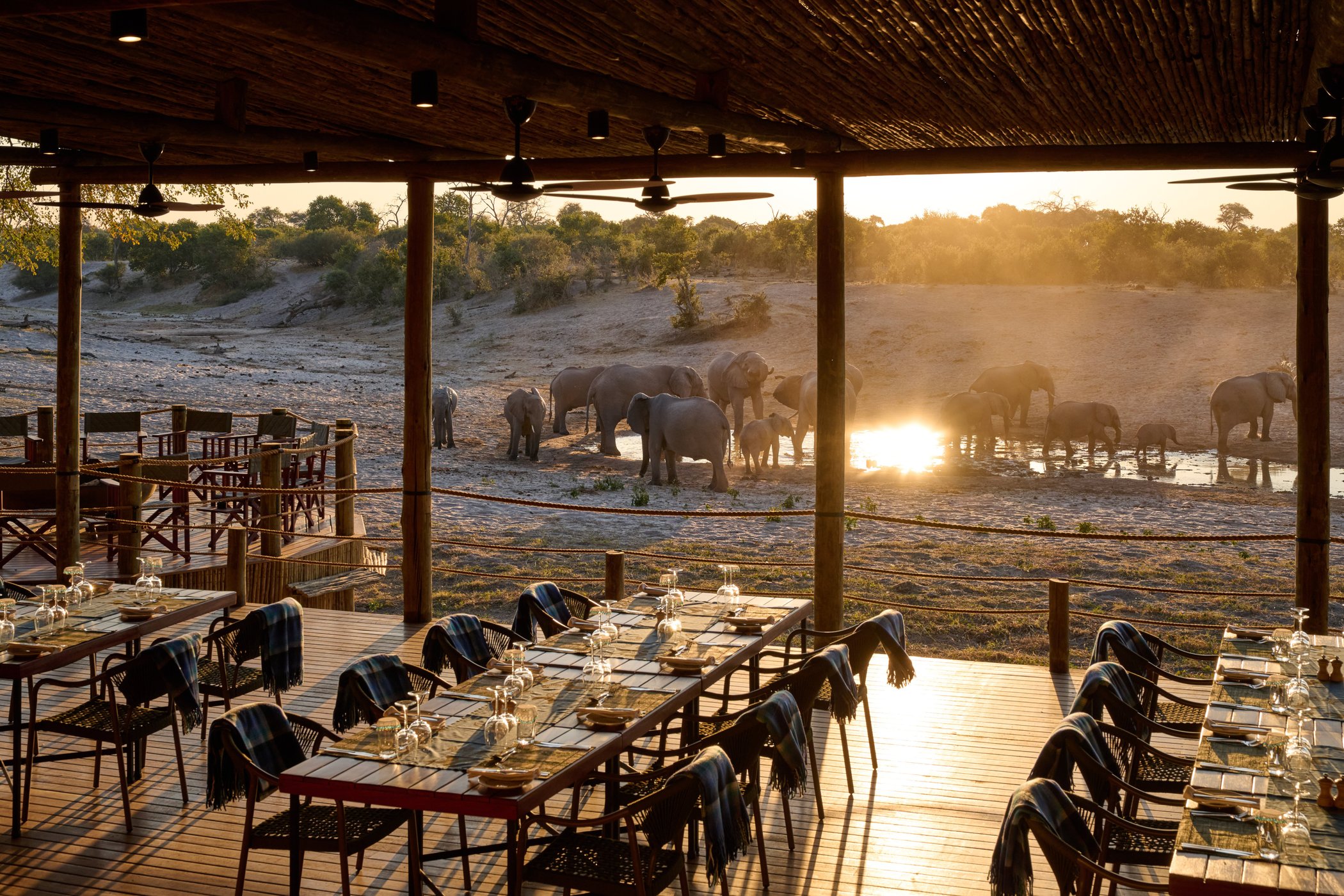 Savute Safari Lodge desert and delta by null