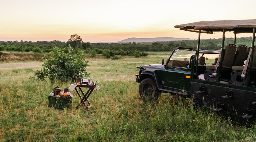 Big 5 guided or self-drive game drives. 