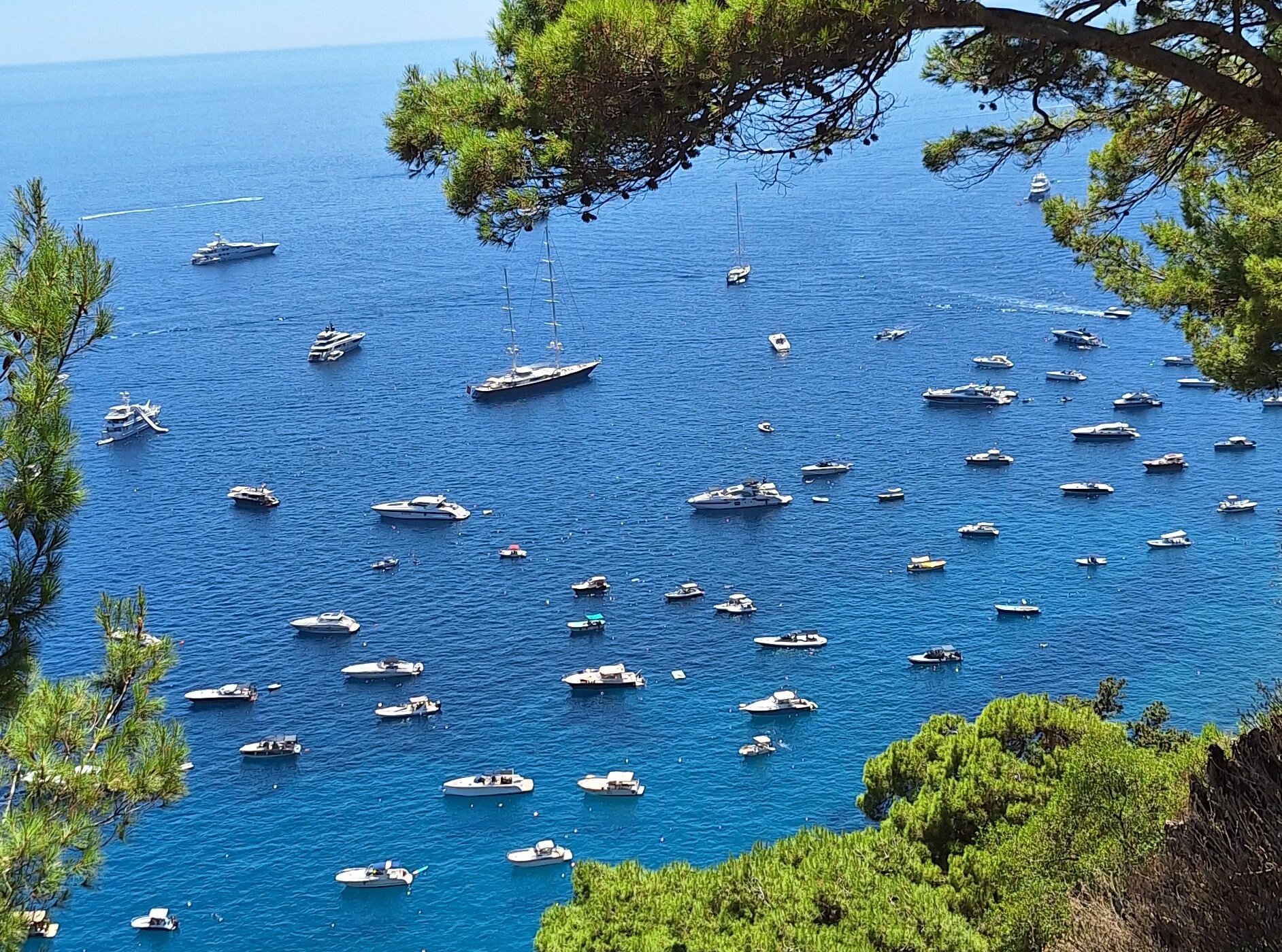 Tours of Capri - 카프리 - Tours of Capri의 리뷰 - 트립어드바이저