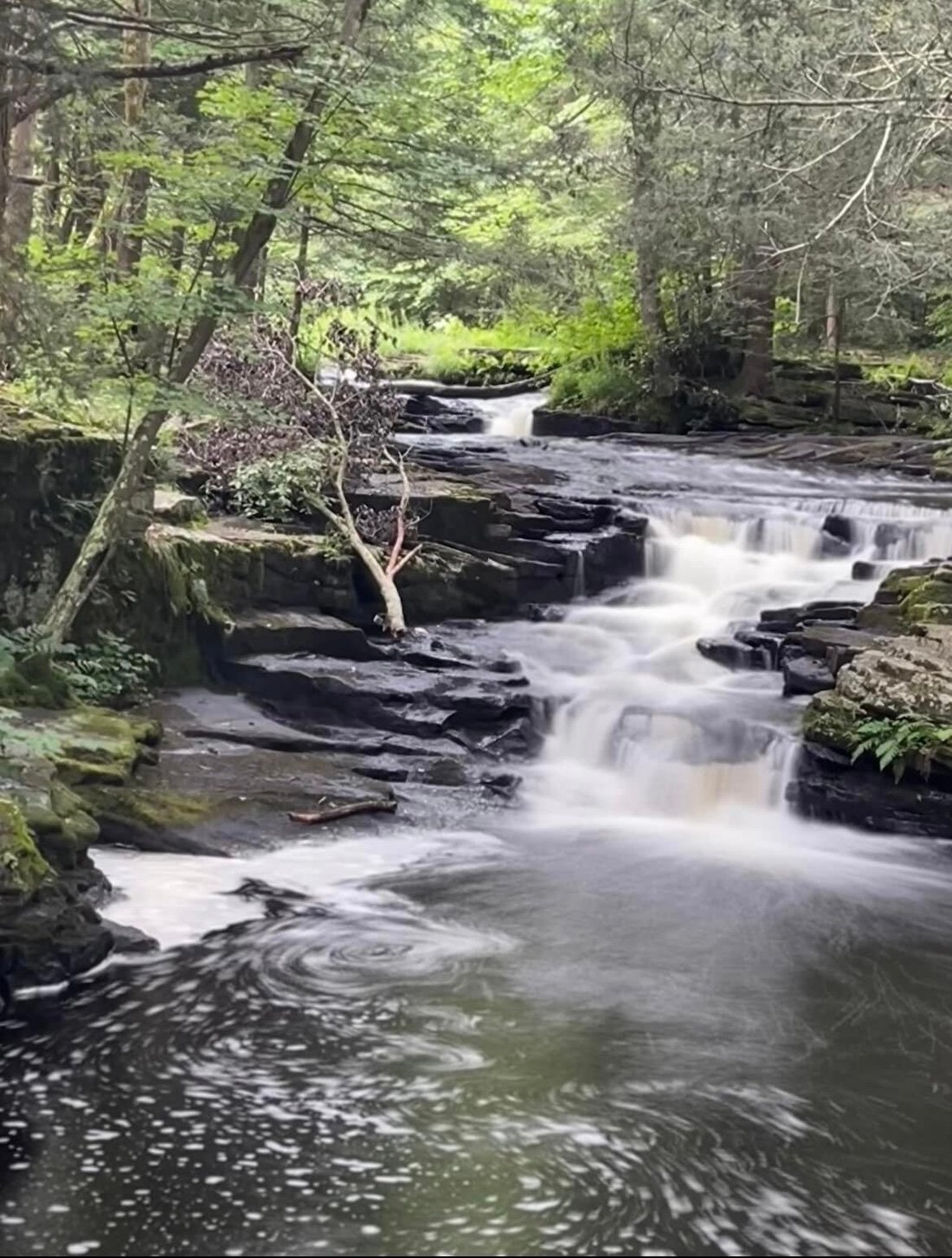 MAGNOLIA STREAMSIDE RESORT - Updated 2025 Prices & Cottage Reviews (Canadensis, PA) MAGNOLIA STREAMSIDE RESORT - Updated 2025... 
