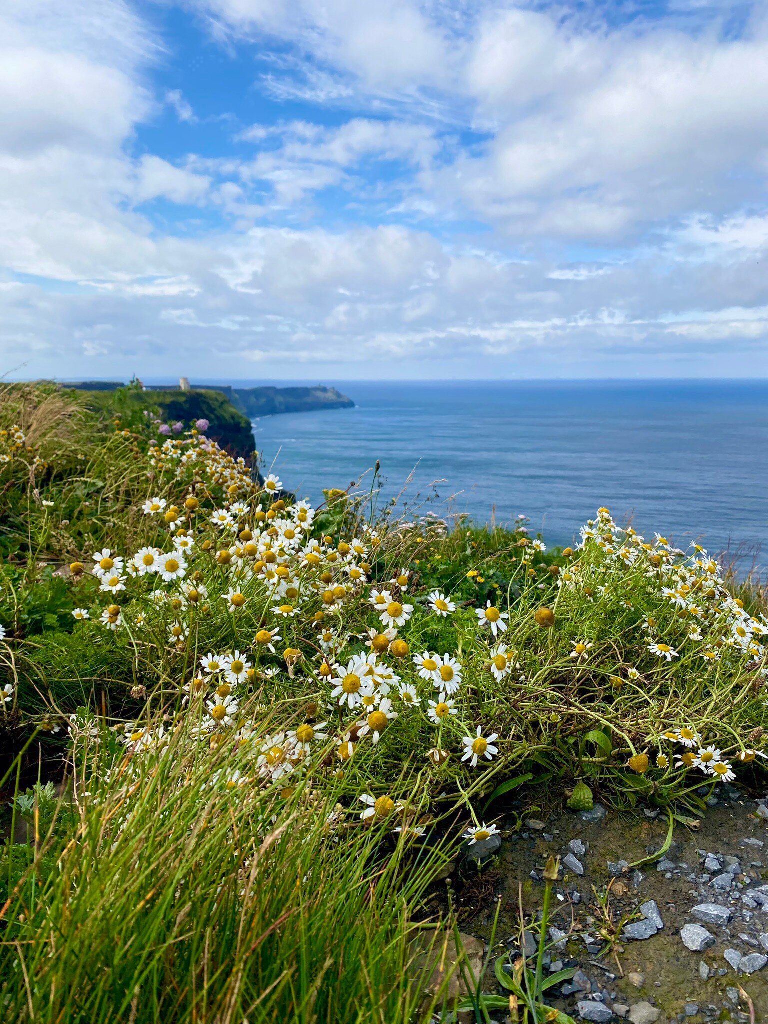 CHURCHFIELD B&B - Updated 2024 Prices & Reviews (Doolin, Ireland)