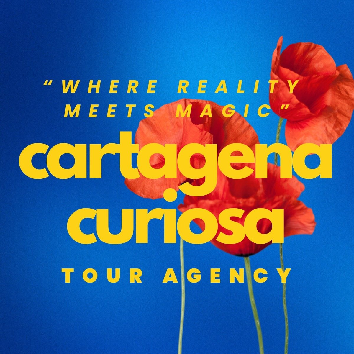 CARTAGENA CURIOSA - All You MUST Know Before You Go (2025)