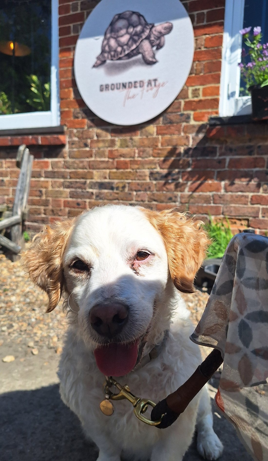 GROUNDED AT THE FORGE, Ringmer - Fotos, Número de Teléfono y ...