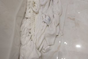 Viaggiatori
