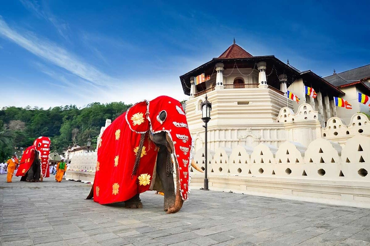 Kandy Day Tours and Round Tours (Sri Lanka): Address, Phone Number ...