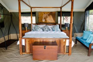 Room & Suite