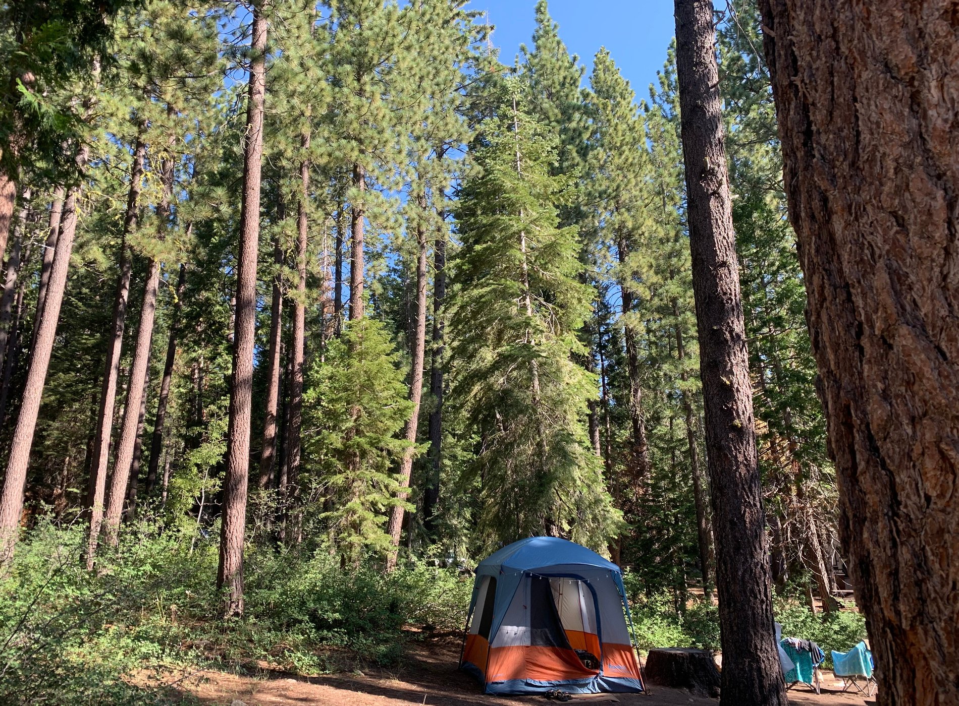 William Kent Campground by null