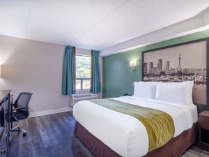 Room & Suite