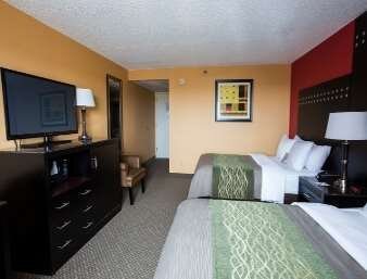 2 Double Bed Room
