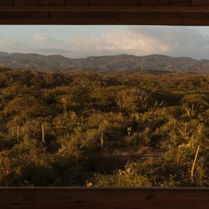 Nature Surroundings
