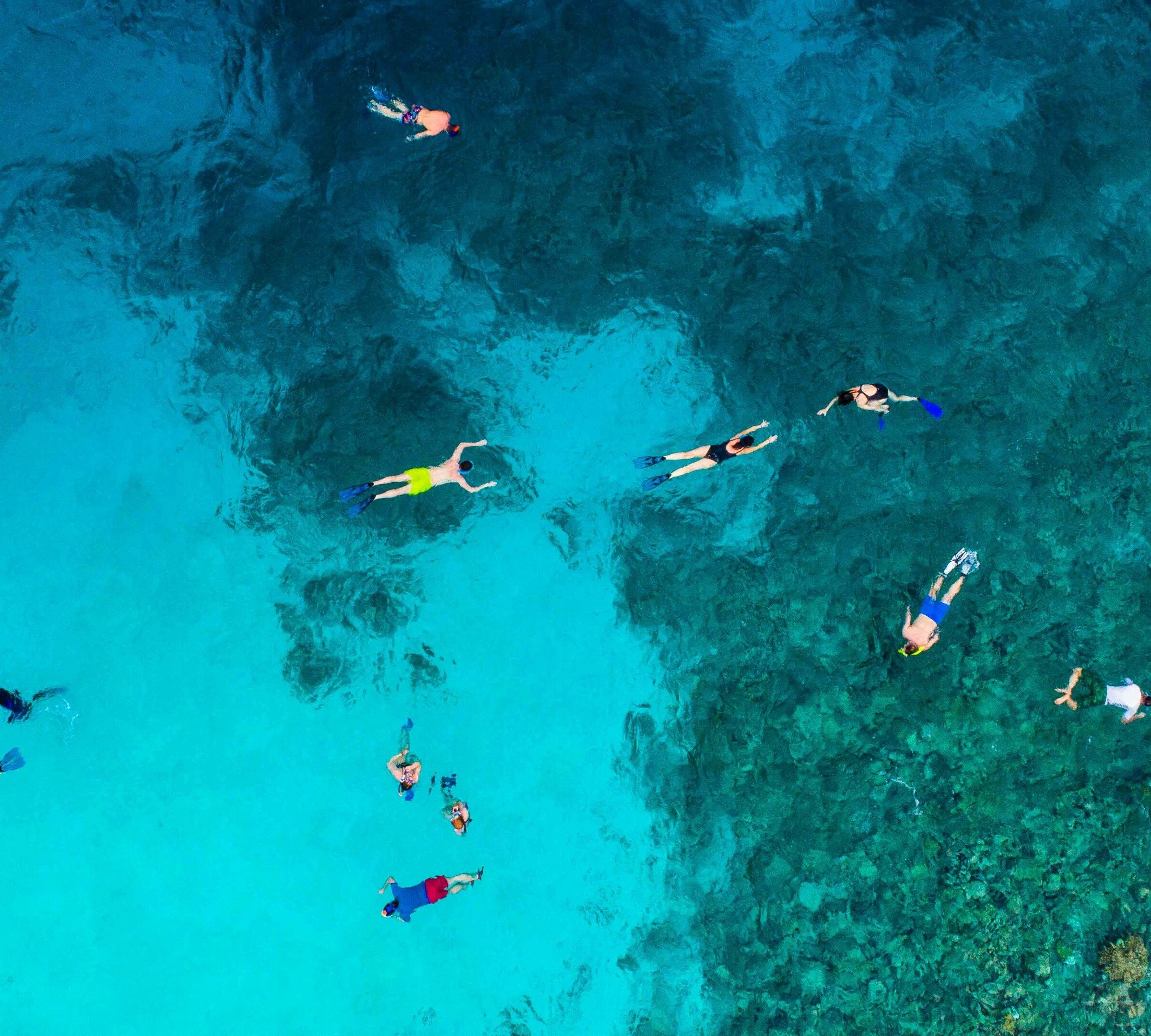 Marine Dhiffushi (Dhiffushi Island) - Alles wat u moet weten VOORDAT je ...