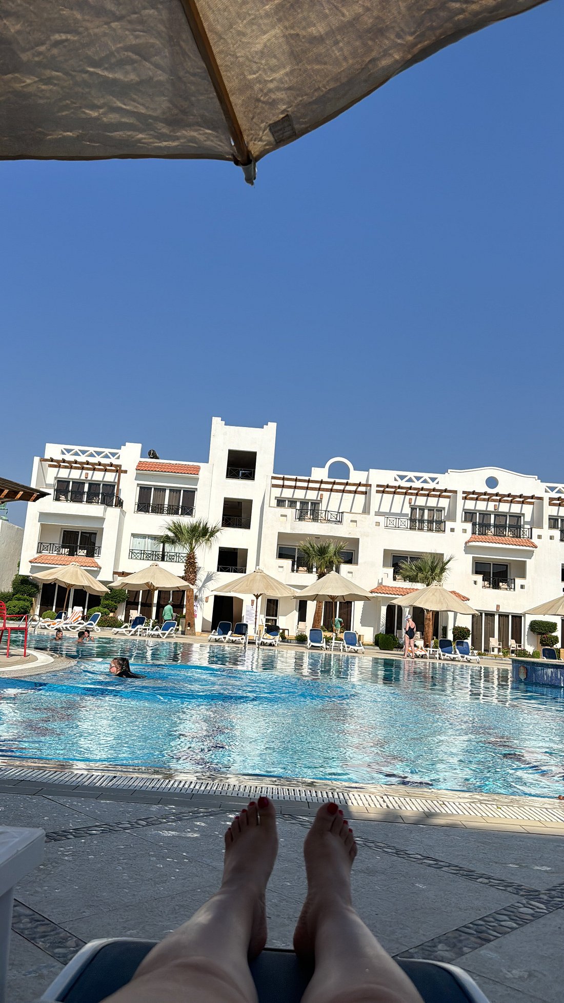 OLD VIC SHARM RESORT (Египет/Шарм-эль-Шейх) - отзывы, фото и сравнение цен  - Tripadvisor