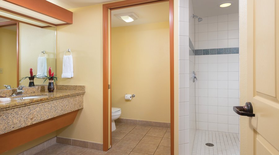 Accessible Ohana Suite Roll-in Bathroom - Kauai Coast Beachboy
