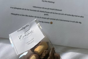Billeder fra rejsende