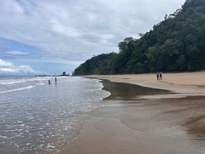 Viajero
