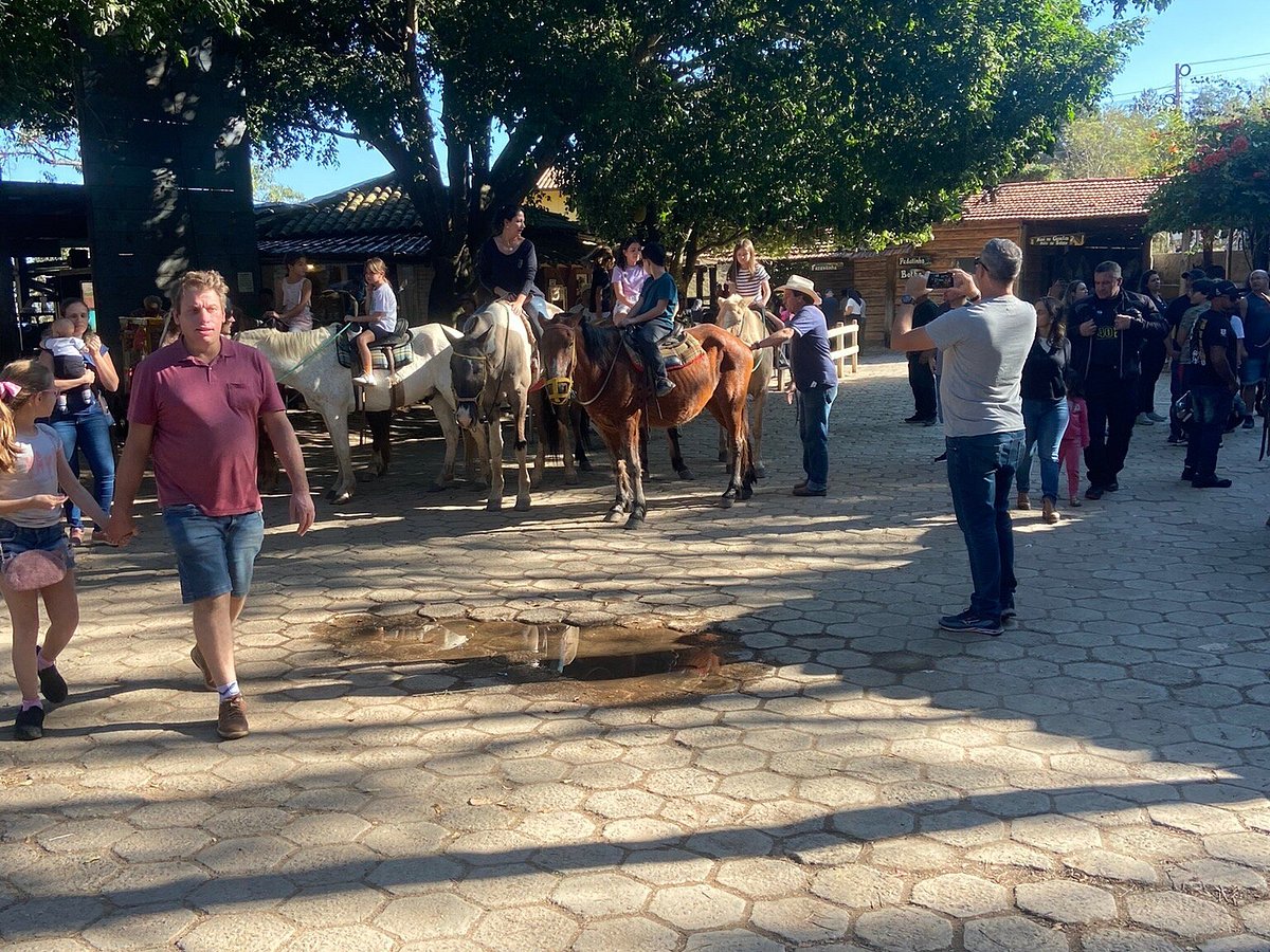 FAZENDA MORRO PELADO - O que saber antes de ir (ATUALIZADO Julho 2024)