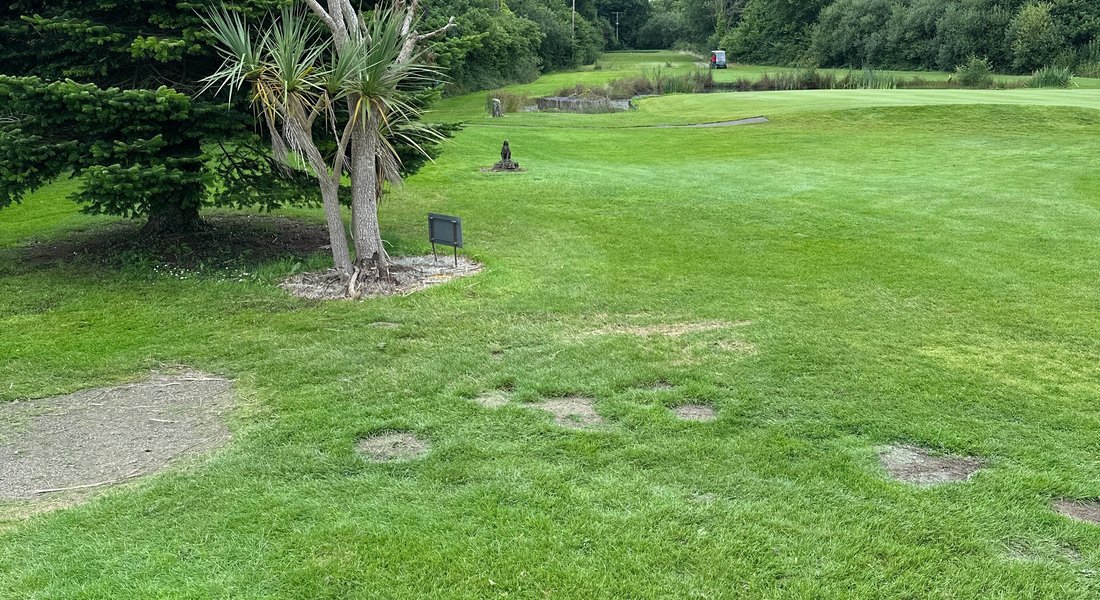 Haverfordwest Golf Club (2025) - All You Need to Know BEFORE You Go (with Reviews)