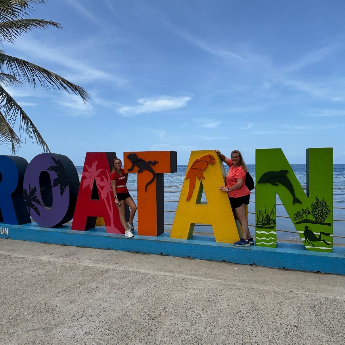 Dd Roatan Tour - All You Need to Know BEFORE You Go (2024)